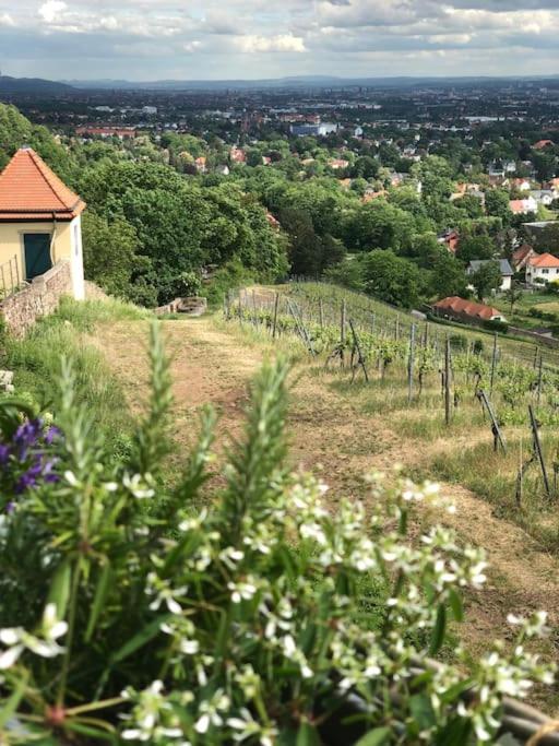 Wohlfuehl-Apartment Am Paradiesberg Radebeul Luaran gambar
